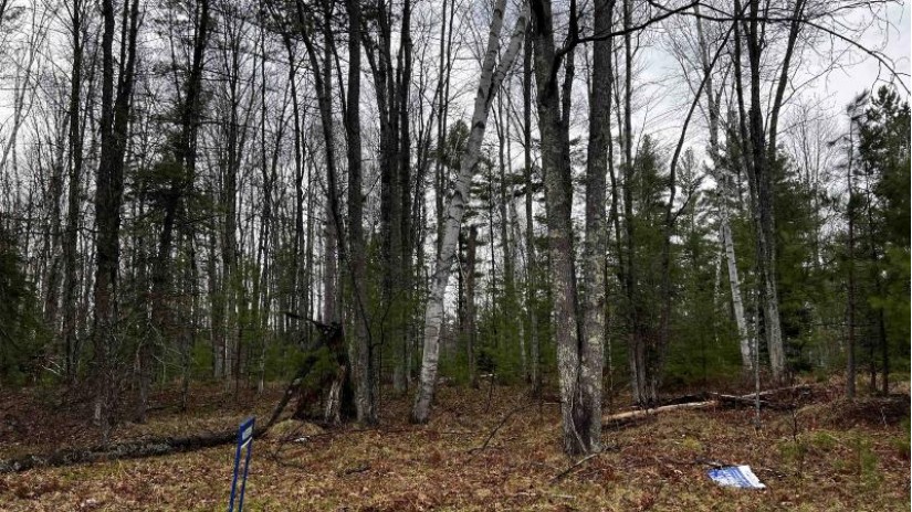 LOT 23 Menominee Shores Drive Wagner, WI 54177 by Cotter Realty Llc $59,900