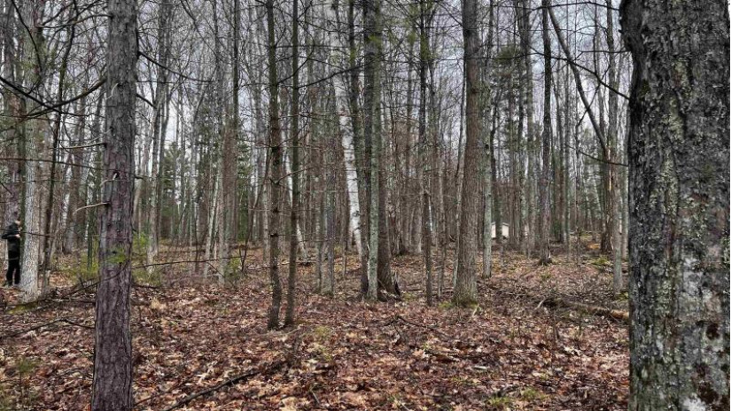 LOT 23 Menominee Shores Drive Wagner, WI 54177 by Cotter Realty Llc $59,900