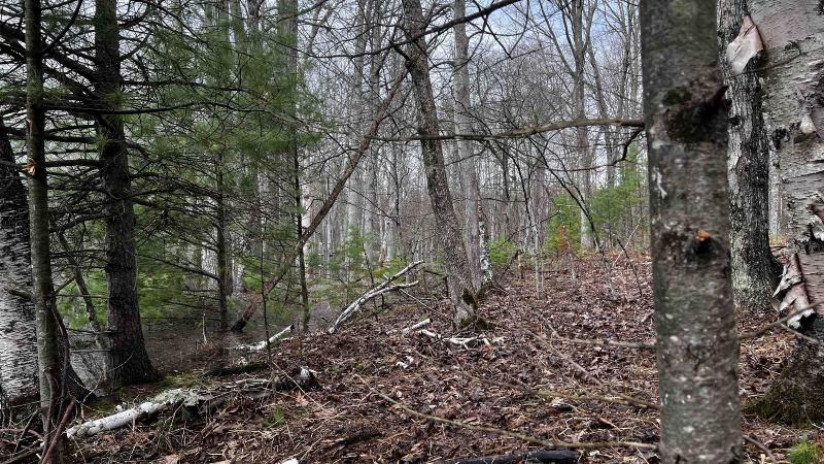 LOT 23 Menominee Shores Drive Wagner, WI 54177 by Cotter Realty Llc $59,900