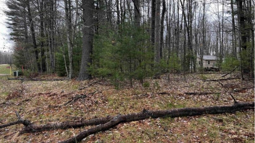 LOT 23 Menominee Shores Drive Wagner, WI 54177 by Cotter Realty Llc $59,900