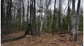 LOT 23 Menominee Shores Drive Wagner, WI 54177 by Cotter Realty Llc $59,900