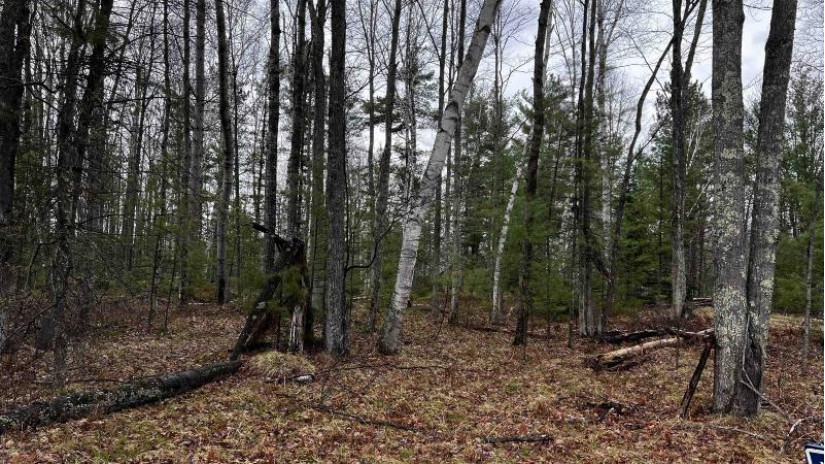 LOT 23 Menominee Shores Drive Wagner, WI 54177 by Cotter Realty Llc $59,900