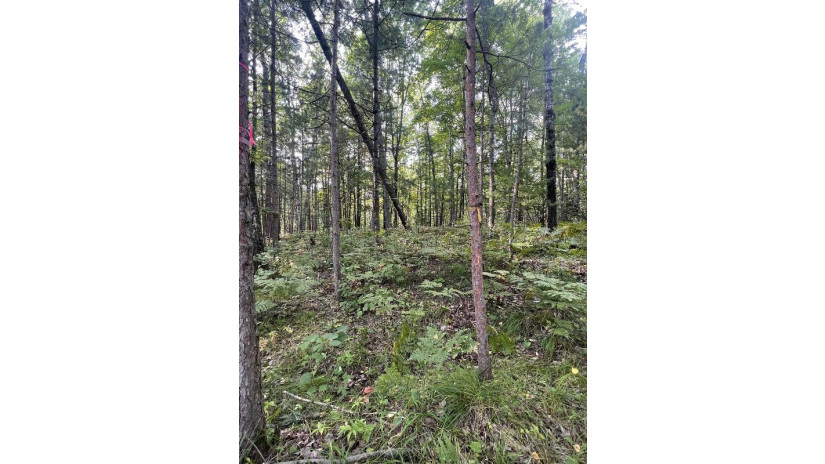 LOT 23 Menominee Shores Drive Wagner, WI 54177 by Cotter Realty Llc $59,900