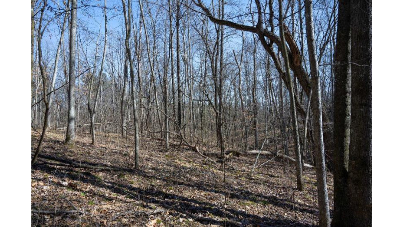 38.04 ACRES Lovers Lane Hillsboro, WI 53929 by Castle Rock Realty Llc - Pref: 608-344-8044 $305,000