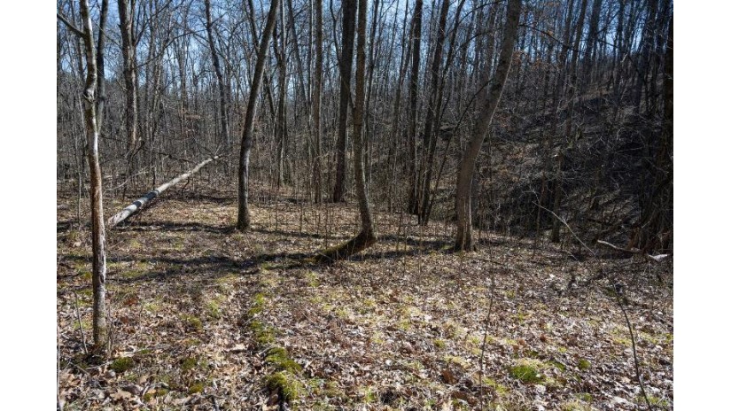 38.04 ACRES Lovers Lane Hillsboro, WI 53929 by Castle Rock Realty Llc - Pref: 608-344-8044 $305,000