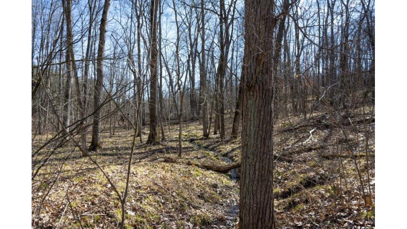 38.04 ACRES Lovers Lane Hillsboro, WI 53929 by Castle Rock Realty Llc - Pref: 608-344-8044 $305,000