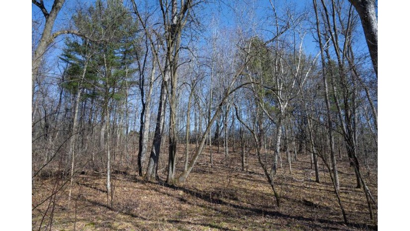 38.04 ACRES Lovers Lane Hillsboro, WI 53929 by Castle Rock Realty Llc - Pref: 608-344-8044 $305,000