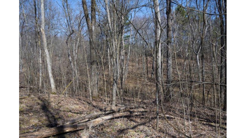 38.04 ACRES Lovers Lane Hillsboro, WI 53929 by Castle Rock Realty Llc - Pref: 608-344-8044 $305,000