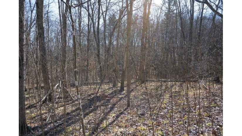 38.04 ACRES Lovers Lane Hillsboro, WI 53929 by Castle Rock Realty Llc - Pref: 608-344-8044 $305,000