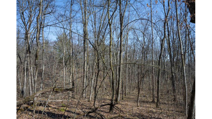 38.04 ACRES Lovers Lane Hillsboro, WI 53929 by Castle Rock Realty Llc - Pref: 608-344-8044 $305,000