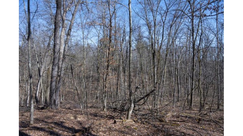 38.04 ACRES Lovers Lane Hillsboro, WI 53929 by Castle Rock Realty Llc - Pref: 608-344-8044 $305,000