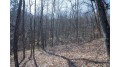 38.04 ACRES Lovers Lane Hillsboro, WI 53929 by Castle Rock Realty Llc - Pref: 608-344-8044 $305,000