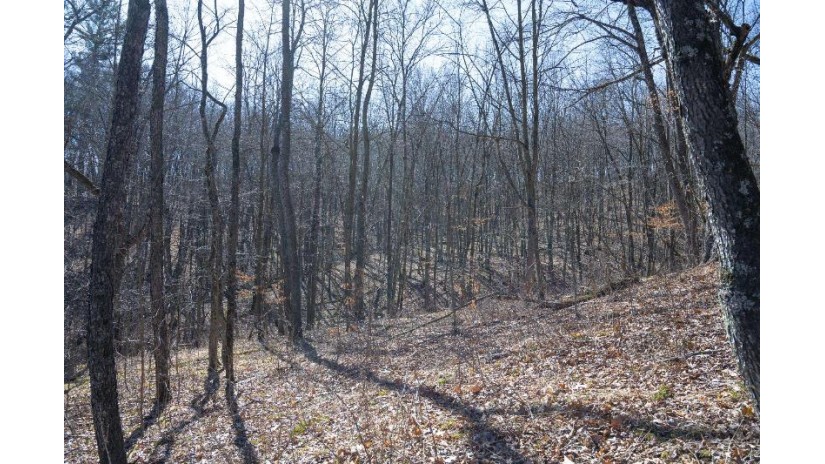 38.04 ACRES Lovers Lane Hillsboro, WI 53929 by Castle Rock Realty Llc - Pref: 608-344-8044 $305,000