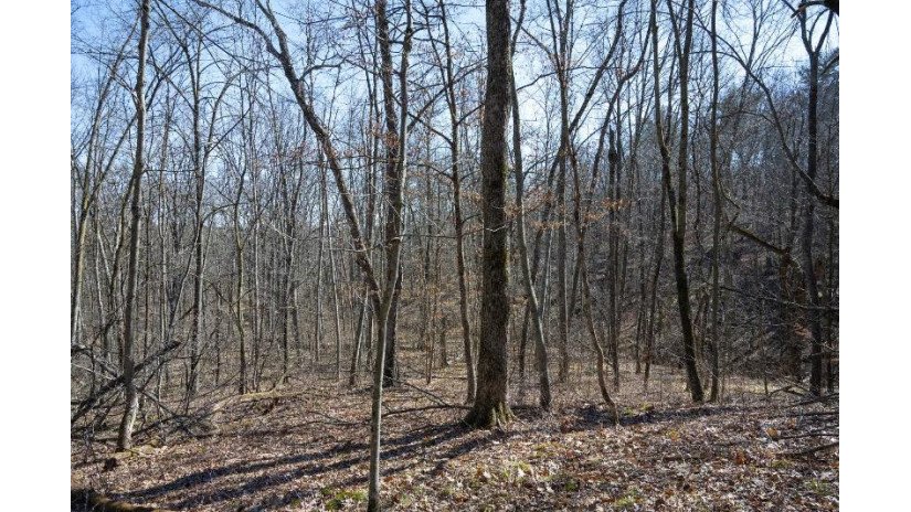 38.04 ACRES Lovers Lane Hillsboro, WI 53929 by Castle Rock Realty Llc - Pref: 608-344-8044 $305,000