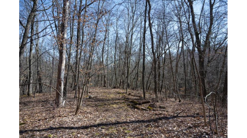 38.04 ACRES Lovers Lane Hillsboro, WI 53929 by Castle Rock Realty Llc - Pref: 608-344-8044 $305,000