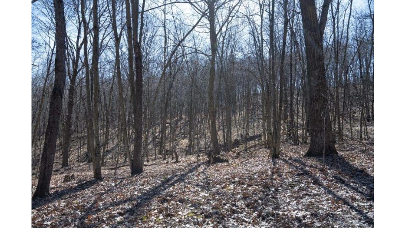 38.04 ACRES Lovers Lane Hillsboro, WI 53929 by Castle Rock Realty Llc - Pref: 608-344-8044 $305,000