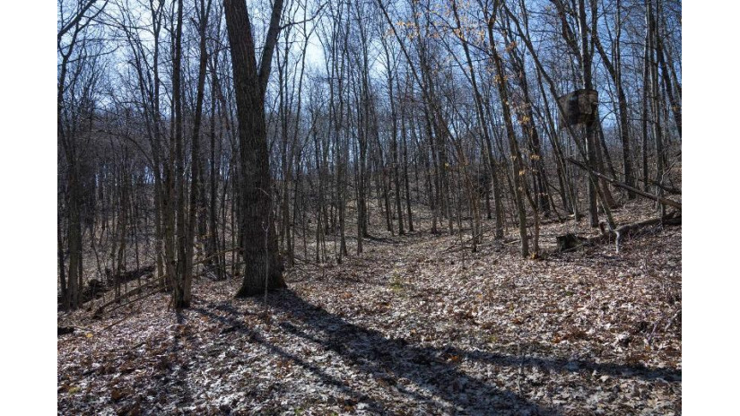 38.04 ACRES Lovers Lane Hillsboro, WI 53929 by Castle Rock Realty Llc - Pref: 608-344-8044 $305,000