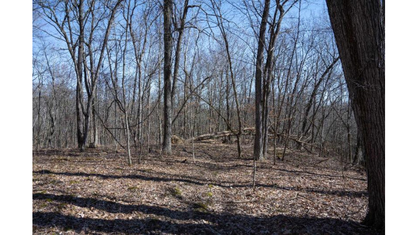 38.04 ACRES Lovers Lane Hillsboro, WI 53929 by Castle Rock Realty Llc - Pref: 608-344-8044 $305,000