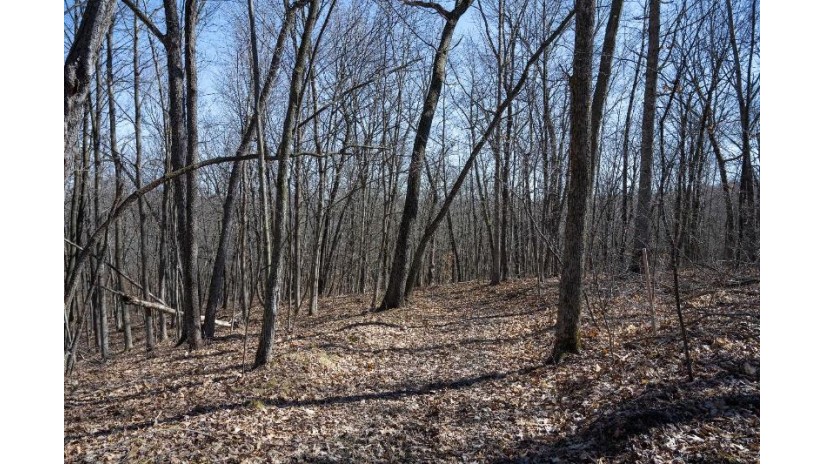 38.04 ACRES Lovers Lane Hillsboro, WI 53929 by Castle Rock Realty Llc - Pref: 608-344-8044 $305,000