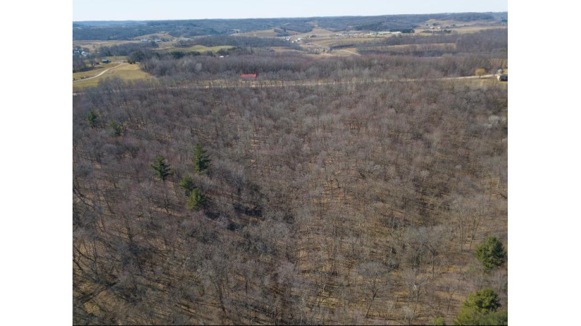 38.04 ACRES Lovers Lane Hillsboro, WI 53929 by Castle Rock Realty Llc - Pref: 608-344-8044 $305,000