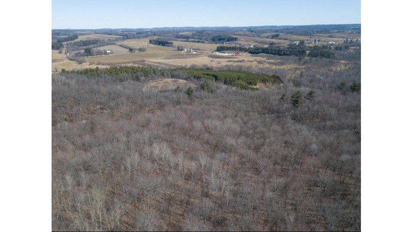 38.04 ACRES Lovers Lane Hillsboro, WI 53929 by Castle Rock Realty Llc - Pref: 608-344-8044 $305,000