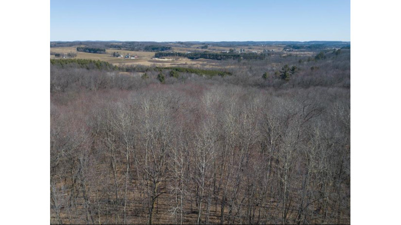 38.04 ACRES Lovers Lane Hillsboro, WI 53929 by Castle Rock Realty Llc - Pref: 608-344-8044 $305,000