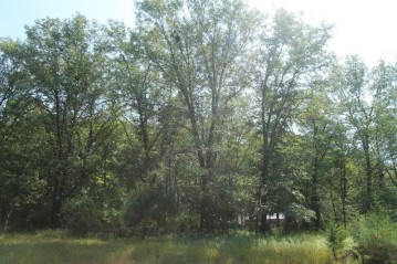 LOT 53 Tomahawk Trail, Mecan, WI 53949-0000