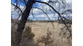 77 ACRES County Road Hh Marion, WI 53948 by Pavelec Realty - Off: 608-339-3388 $459,900