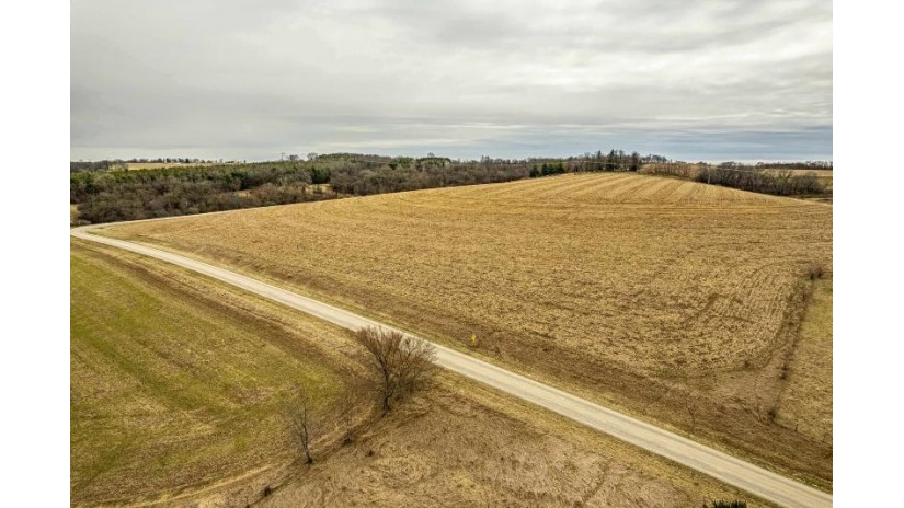 33.29 ACRES Whiteside Road Wiota, WI 53504 by Exit Professional Real Estate - melhawkins96@gmail.com $330,000