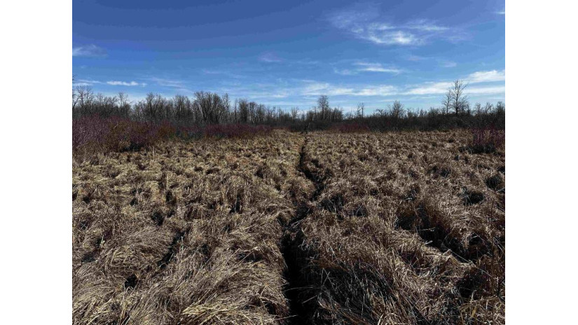 120.00AC County Road Ccc Marshfield, WI 53079 by Whitetail Properties Real Estate Llc $675,000