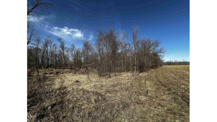 120.00AC County Road Ccc Marshfield, WI 53079 by Whitetail Properties Real Estate Llc $675,000