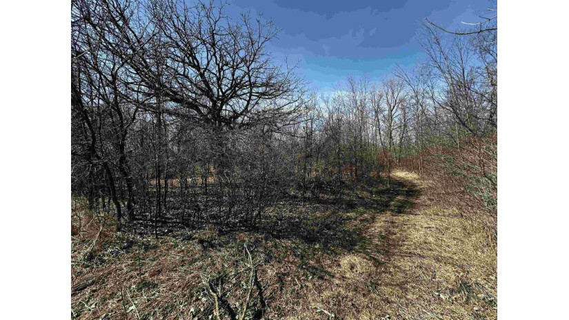 120.00AC County Road Ccc Marshfield, WI 53079 by Whitetail Properties Real Estate Llc $675,000