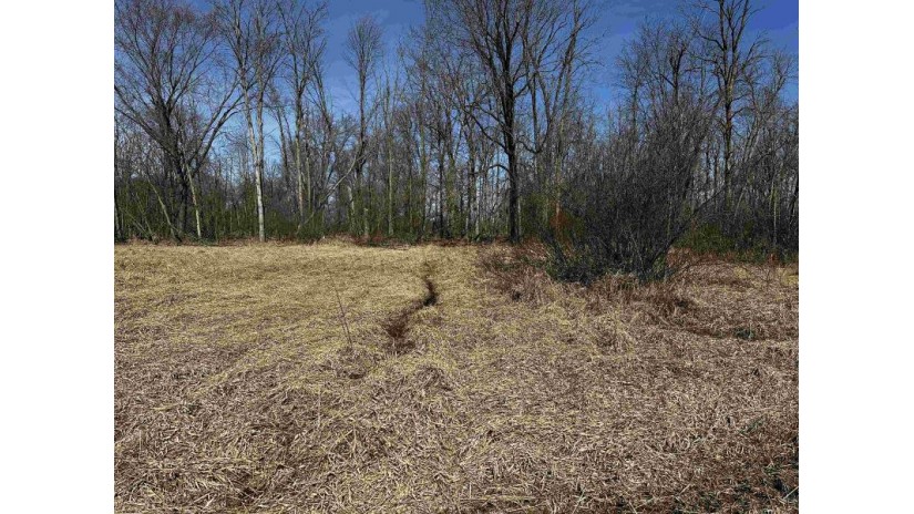 120.00AC County Road Ccc Marshfield, WI 53079 by Whitetail Properties Real Estate Llc $675,000