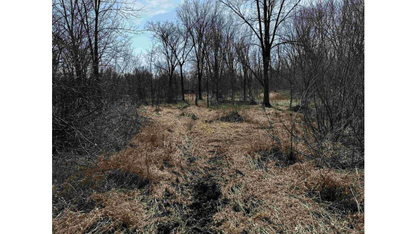 120.00AC County Road Ccc Marshfield, WI 53079 by Whitetail Properties Real Estate Llc $675,000