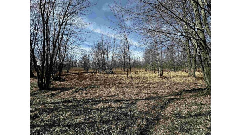 120.00AC County Road Ccc Marshfield, WI 53079 by Whitetail Properties Real Estate Llc $675,000