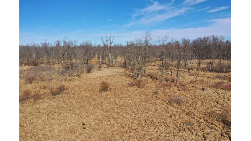 120.00AC County Road Ccc Marshfield, WI 53079 by Whitetail Properties Real Estate Llc $675,000