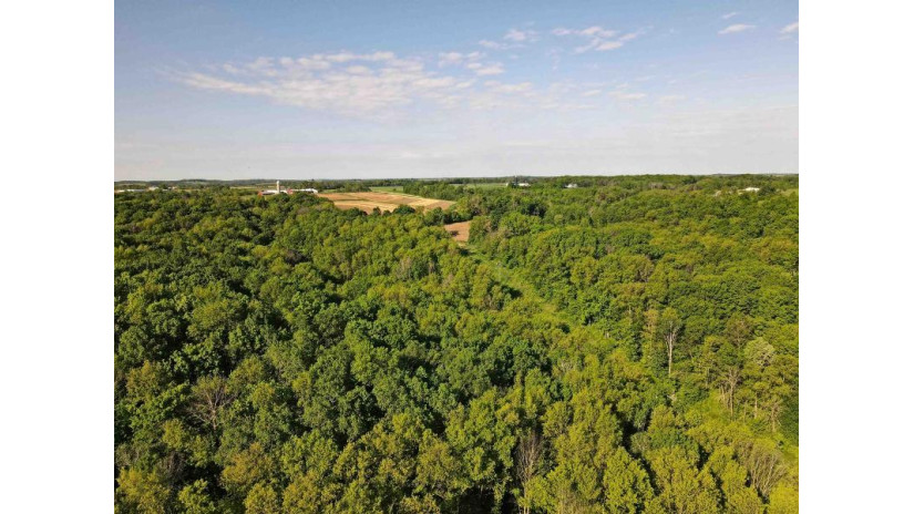 73.56 M/L ACRES County Road Y Woodland, WI 53968 by Peoples Company $450,000