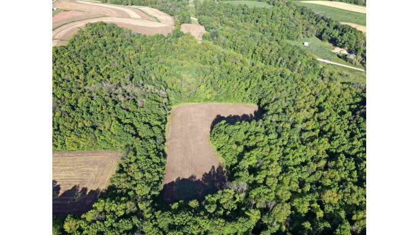 73.56 M/L ACRES County Road Y Woodland, WI 53968 by Peoples Company $450,000