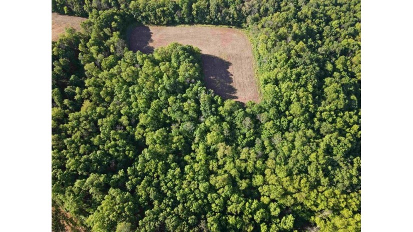 73.56 M/L ACRES County Road Y Woodland, WI 53968 by Peoples Company $450,000