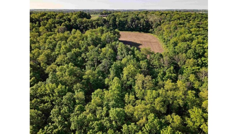 73.56 M/L ACRES County Road Y Woodland, WI 53968 by Peoples Company $450,000