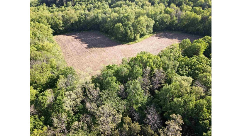 73.56 M/L ACRES County Road Y Woodland, WI 53968 by Peoples Company $450,000