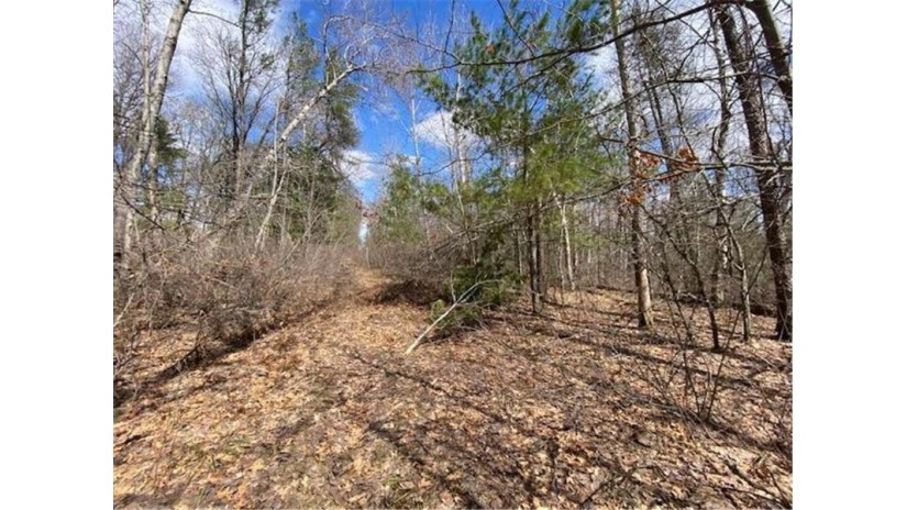 Lot 2 Pash Drive Trego, WI 54888 by Lakewoods Real Estate $115,000