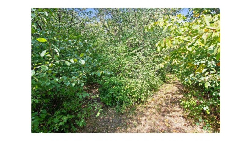 Lot 2 30th Avenue Clear Lake, WI 54005 by Edina Realty, Inc. $65,000