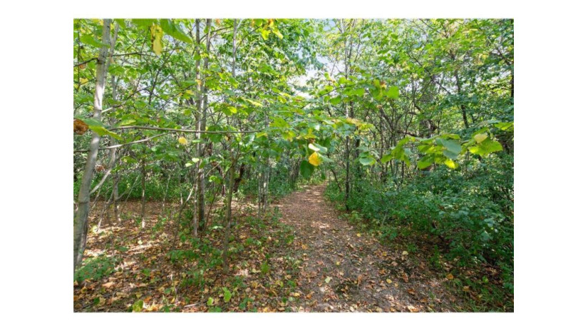 Lot 2 30th Avenue Clear Lake, WI 54005 by Edina Realty, Inc. $65,000