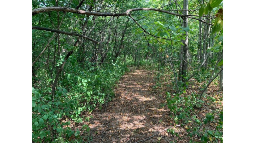 Lot 2 30th Avenue Clear Lake, WI 54005 by Edina Realty, Inc. $65,000