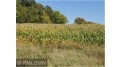 1139 178th St./Dalton Farm Road, Lot 18 Hammond, WI 54015 by Dalton Realty $98,000