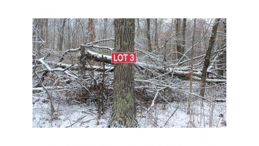 LOT 3 Blackberry Rd Trego, WI 54888 by Woods & Water Real Estate Llc $34,900