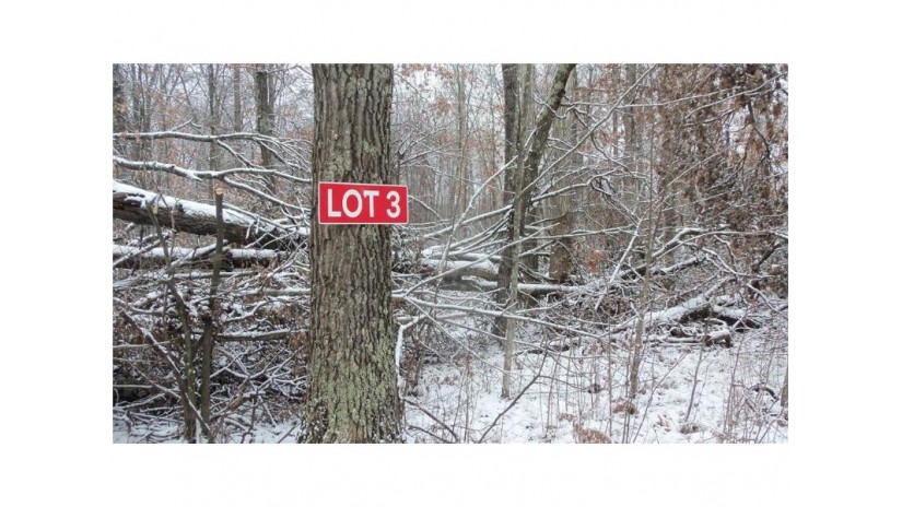 LOT 3 Blackberry Rd Trego, WI 54888 by Woods & Water Real Estate Llc $34,900