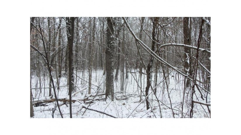 LOT 3 Blackberry Rd Trego, WI 54888 by Woods & Water Real Estate Llc $34,900