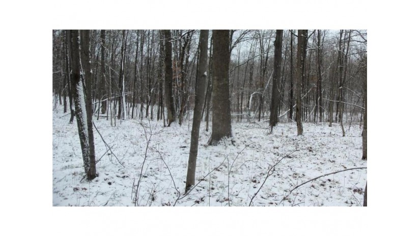 LOT 3 Blackberry Rd Trego, WI 54888 by Woods & Water Real Estate Llc $34,900